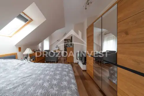 Brużyczka mała   7