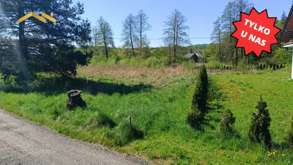 Przeginia duchowna   4