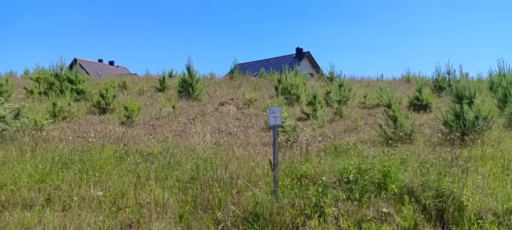 Donimierz ,  Na Skarpie   12