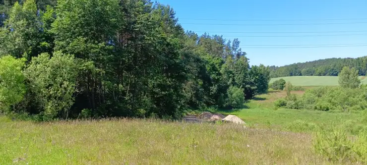 Donimierz ,  Na Skarpie   2