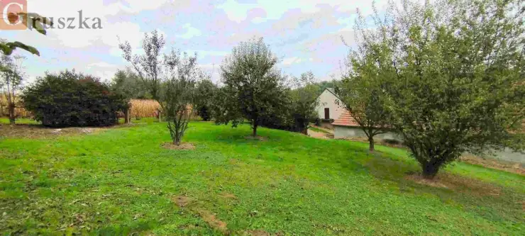 Koszyce ,  Wesoła   11