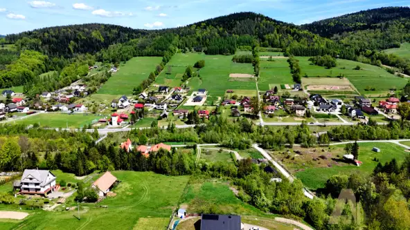 Królowa górna   17