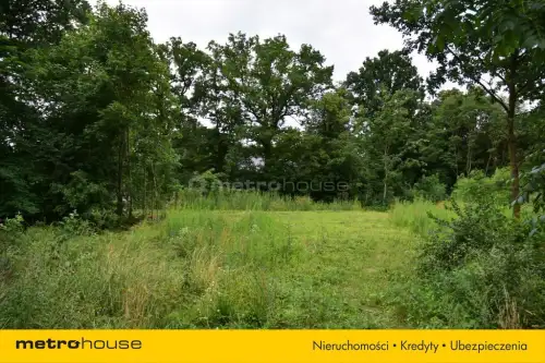 Skierniewice ,  Bielańska   3