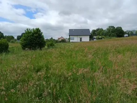 Kamela ,  Wiktorii   5