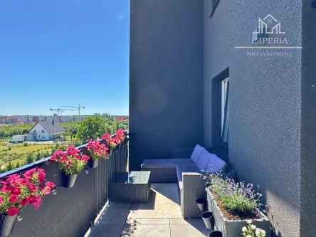 Rotmanka ,  Zaczarowana   6