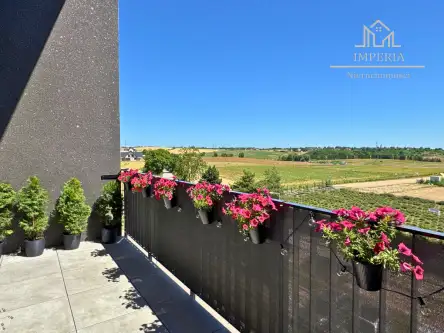 Rotmanka ,  Zaczarowana   7