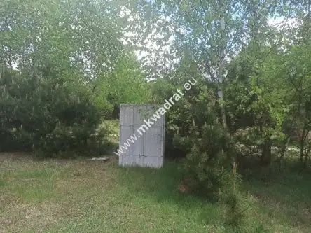 Kuklówka radziejowicka   2