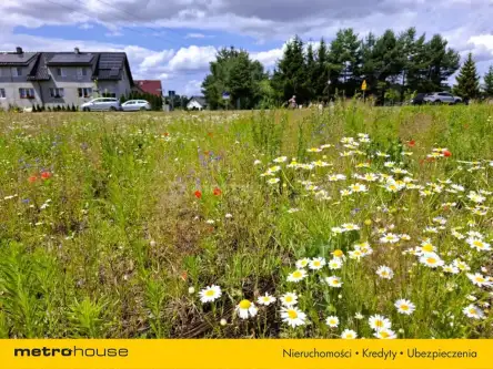 Pasikurowice ,  Wrocławska   5