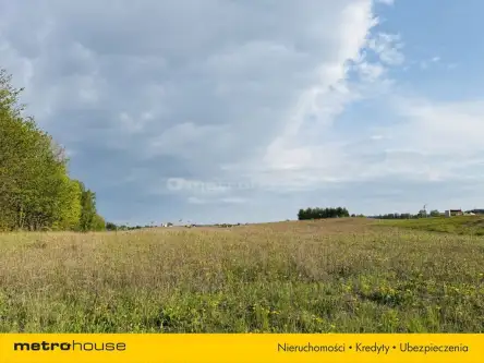 Rydzewo ,  Paprotecka   4