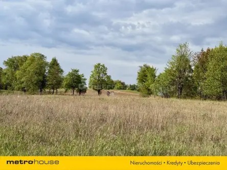 Rydzewo ,  Paprotecka   5