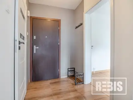 Kraków ,  Aleksandry   8