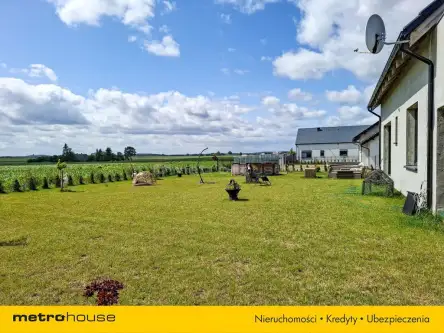 Sępólno krajeńskie ,  Kalinowskiego   16