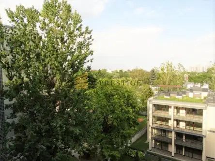 Warszawa ,  Adama Naruszewicza   10