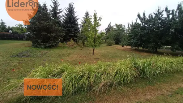  Ksawerów   Zachodnia 