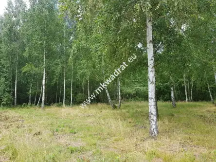 Budy-grzybek ,  www.mkwadrat.eu   4