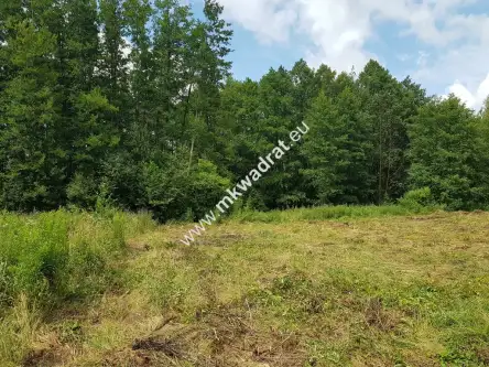 Budy-grzybek ,  www.mkwadrat.eu   6