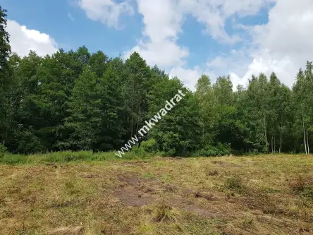 Budy-grzybek ,  www.mkwadrat.eu   7