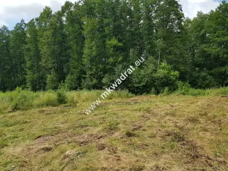 Budy-grzybek ,  www.mkwadrat.eu   8