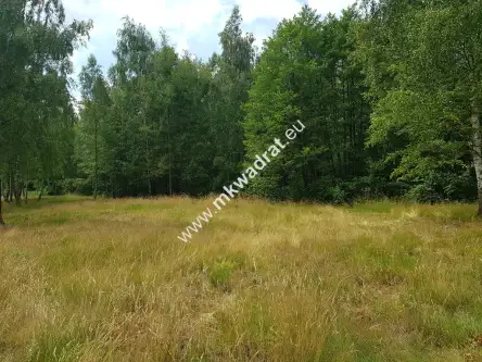 Budy-grzybek ,  www.mkwadrat.eu   9