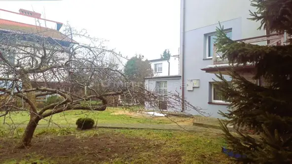 Człuchów ,  Leśna   19