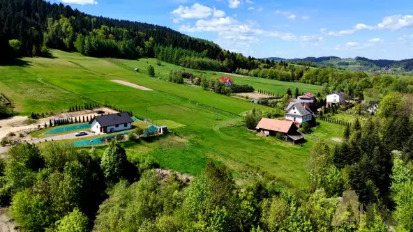 Królowa górna   10