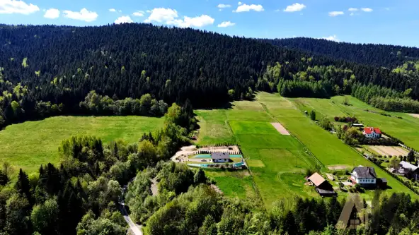 Królowa górna   13