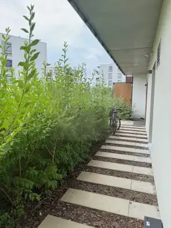 Warszawa ,  Batalionu Ak "bałtyk"   13