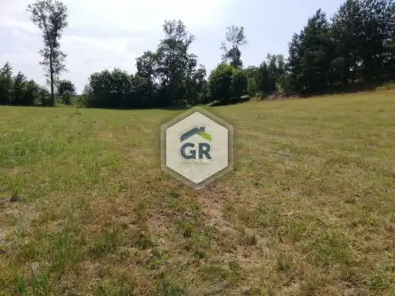 Dziemiany ,  Spacerowa   7