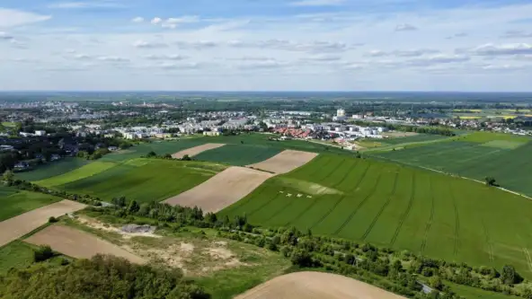 Głogów ,  Pszczelarska   10