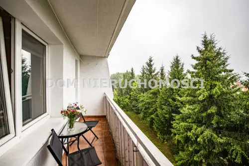 Olsztyn ,  Immanuela Kanta   15