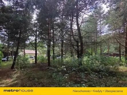 Prawda ,  Podleśna   2