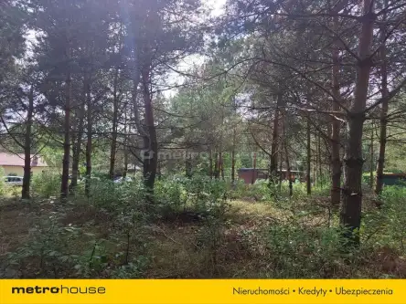 Prawda ,  Podleśna   4