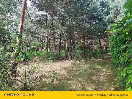 Prawda ,  Podleśna   5