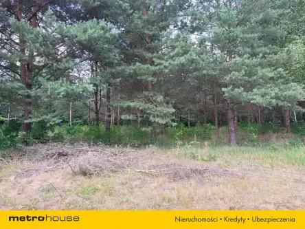 Prawda ,  Podleśna   6