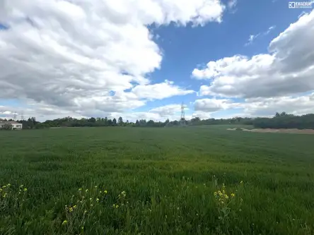 Kolonia pliszczyn   3