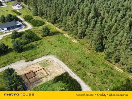 Charzyno ,  Willowa   14