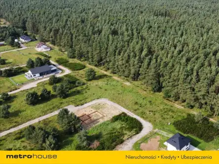 Charzyno ,  Willowa   15