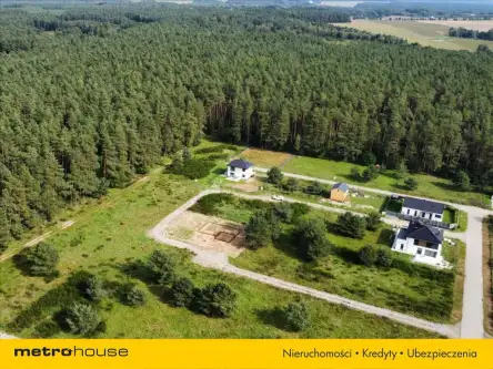 Charzyno ,  Willowa   2