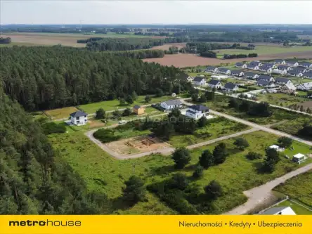 Charzyno ,  Willowa   3