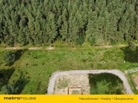 Charzyno ,  Willowa   4