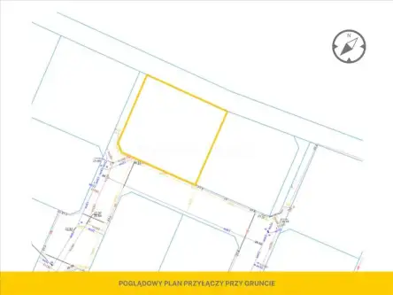 Charzyno ,  Willowa   6