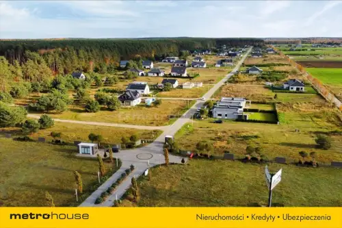 Charzyno ,  Willowa   10