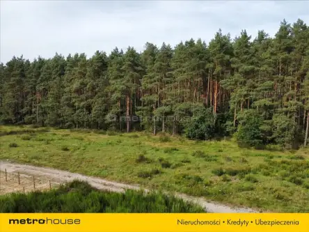 Charzyno ,  Willowa   13