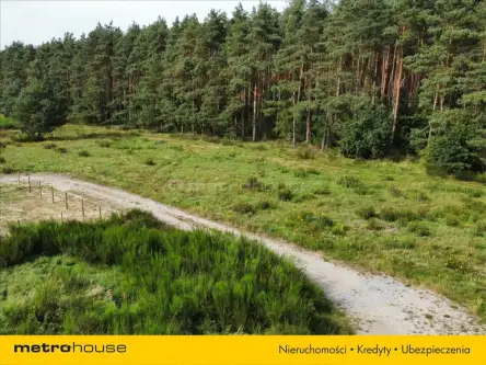 Charzyno ,  Willowa   14