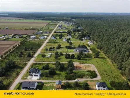 Charzyno ,  Willowa   16