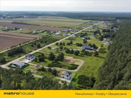 Charzyno ,  Willowa   17