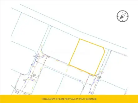 Charzyno ,  Willowa   5