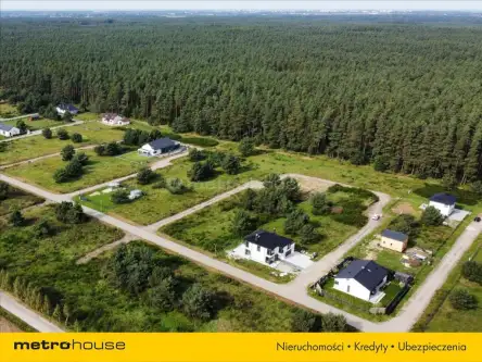 Charzyno ,  Willowa   6