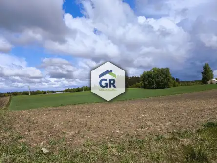 Skorzewo ,  Łubinowa   10