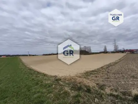  Skorzewo   Łubinowa 